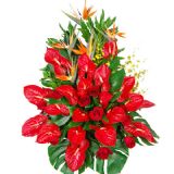 Ӫʻٵ