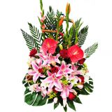 Ӫʻٵ
