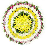 Ӫڿҵ